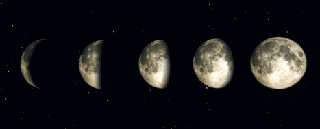 moon light moonlighting